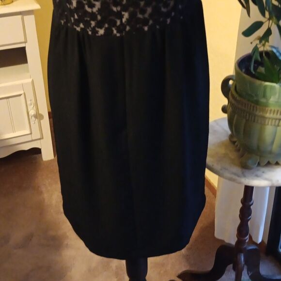 Loft Lace and Chiffon Skirt. Lace. Whimsigoth. Dressy - Picture 9 of 13
